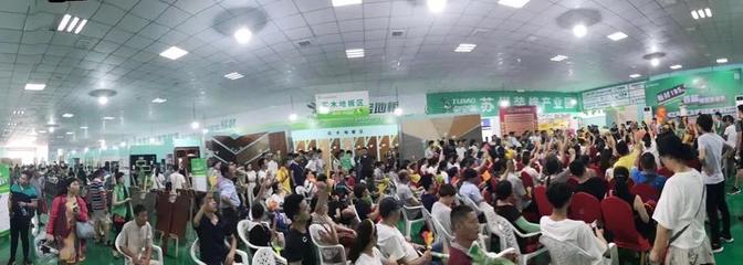 兔寶寶環保行7月29日蘇州站 綠色裝飾，感恩回饋